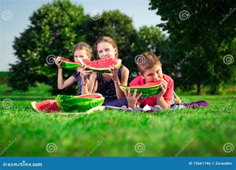 Niños Lindos Que Comen La Sandía Foto de archivo Imagen de feliz