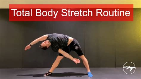 Total Body Stretch Routine Youtube