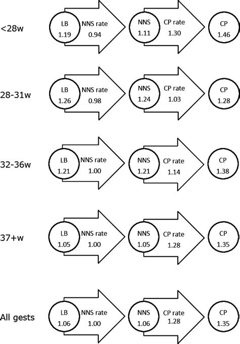 Biological Sex And The Risk Of Cerebral Palsy In Victoria Australia Reid 2016