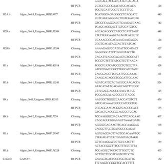 Expression Of A Pacificum Histone Genes In Nutrient Depleted Media And