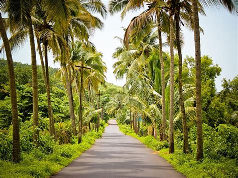 Indian Nature Streets In Indian Village HD Wallpaper Pxfuel