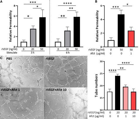 Aflibercept A VEGF Vascular Endothelial Growth Factor Trap Reduces