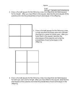 Lesson Complex Inheritance