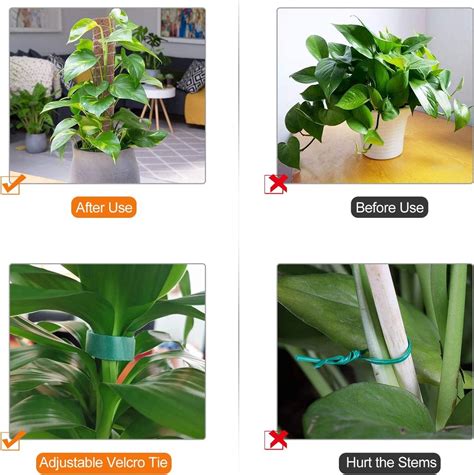 Hongyans Monstera Plantenstaaf Kokos Mosstaaf Voor Planten