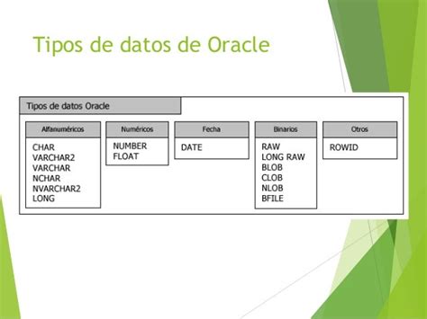 Tipos Datos Oracle