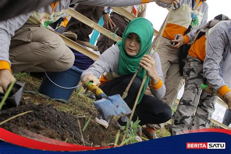 Cegah Longsor Di Bogor Bibit Pohon Ditanam Di Lahan Kritis