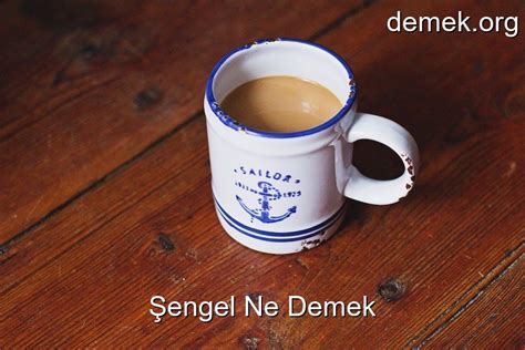 Şengel Ne Demek Ne Demek