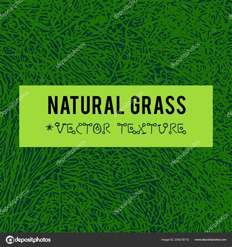 Natural Grass Vecteur Textur Fond L Ments Co Grunge Pour Cr Ation