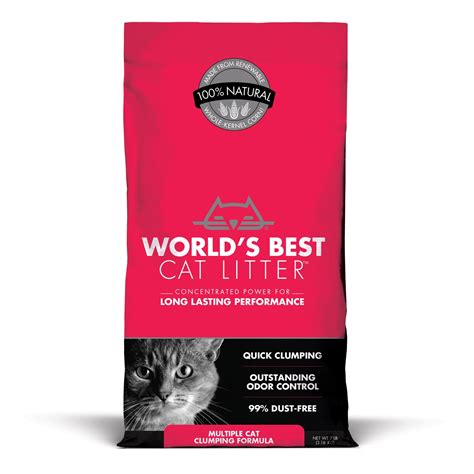 6 Best Flushable Cat Litter Brands - My Cat Need This