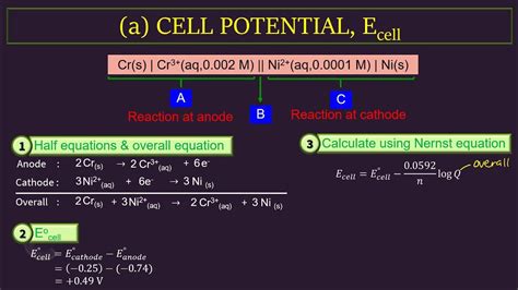 Calculation Using Nernst Equation Youtube