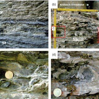 Colour Online Outcrop Photographs Of The Lower Alum Black Shale At