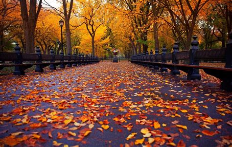 Autumn Walk Wallpapers Wallpaper Cave