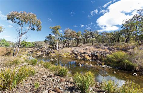 Kings Plain National Park Nsw National Parks