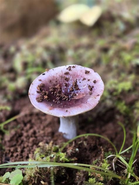 Colebrook Road - Colebrook Road added a new photo.