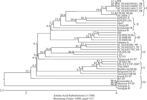 Phylogenetic Relationship Of Pedv Dx And Other Pedv Strains Based On A