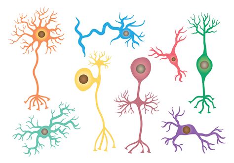 Free Neuron Icons Vector Download Free Vector Art Stock Graphics