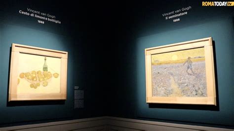 Dentro La Vita E I Capolavori Di Van Gogh La Mostra Evento A Roma