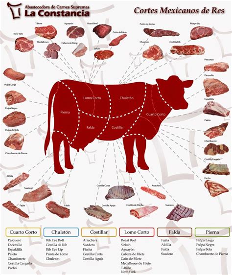 Cortes De Carne Diagrama