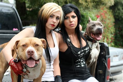 New Season Of Pitbulls And Parolees 2022 - Happy New Year 2022