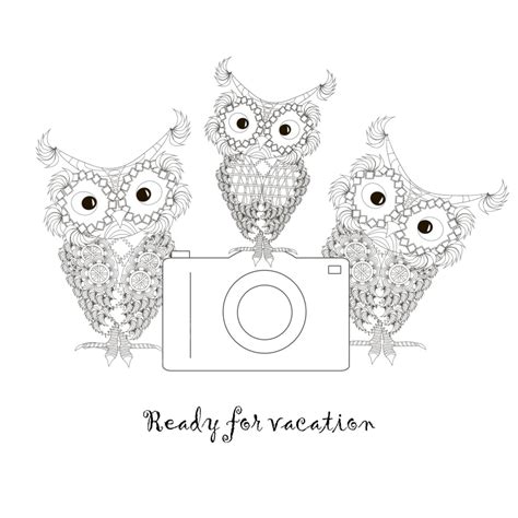 Hand Drawn Owl Vector Art Png Monochrome Doodle Hand Drawn Owls With Camera Jpeg Doodle