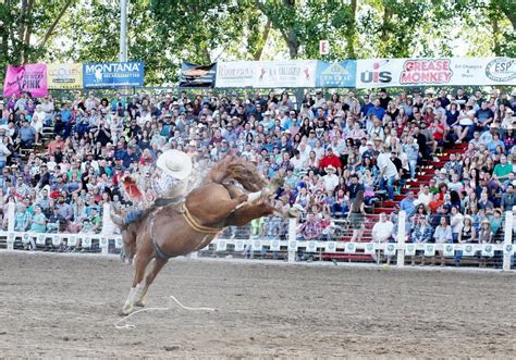 Strawberry Days Rodeo Utahs Longest Running Rodeo In Pleasant Grove Ut