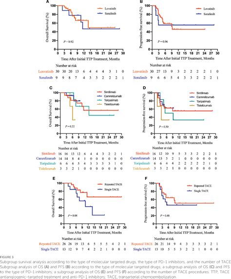 Figure 1 From Efficacy And Safety Of Transarterial Chemoembolization