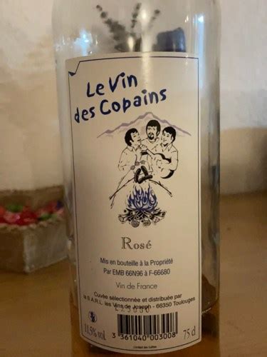 Les Vins De Joseph Le Vin Des Copains Ros Vivino Us