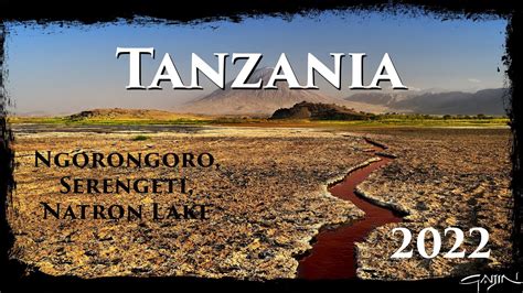 Tanzania Safari Ngorongoro Serengeti Natron Viaggiare In