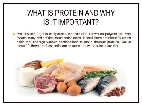 Why Is Protein Important In Weight Loss Health Benefits Of Protein