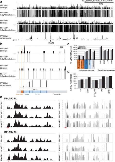 Bisulfite Sequencing Analysis Of Mov10l1 Oocytes Bisulfite