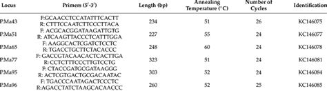 Pcr Analysis Of Ssr Loci In P Massoniana Showing Loci Identification