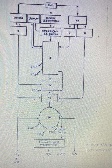 Look At The Diagram Below Name Substance