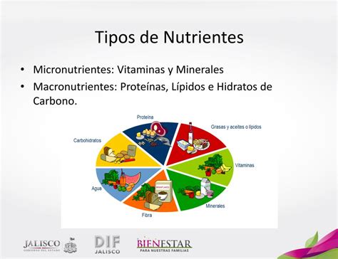 Tipos De Nutrientes