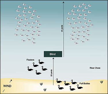 Decoy Spreads: River Chute Two-Spread Set | Ducks Unlimited