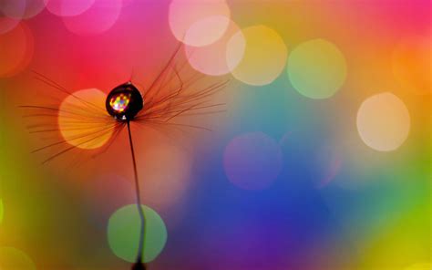 Simple Beautiful Wallpapers Top Free Simple Beautiful Backgrounds