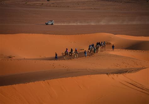 2 Day Shared Tour From Marrakech To Zagora Desert Camel Rides