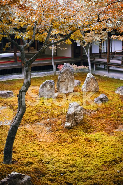 Autumn Zen Garden Stock Photo Royalty Free Freeimages