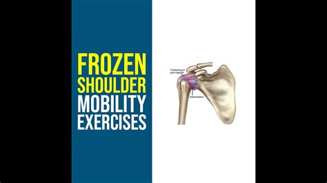 Frozen Shoulder Mobility Exercises With Ebone Revitamax Rehab Rexdale