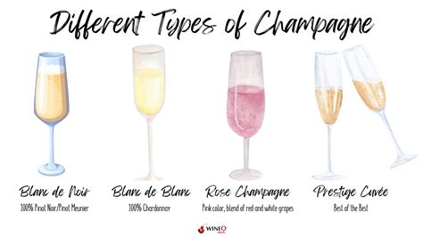 12 Best Champagne For Mimosas A Guide To Bubbly Brunch Bliss