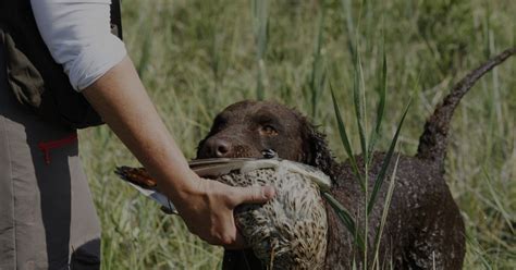 Getting Your FWID and Hunting License After Completing Your CORE – Step-by-Step Guide for New ...