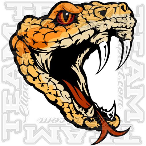 Rattle Snake Head Image Modifiable Vector Format