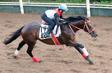 【岩田康誠の熱血！！競馬道】ミッキーブリランテと激走狙う 11日中山・京成杯ah Umatoku 馬トク