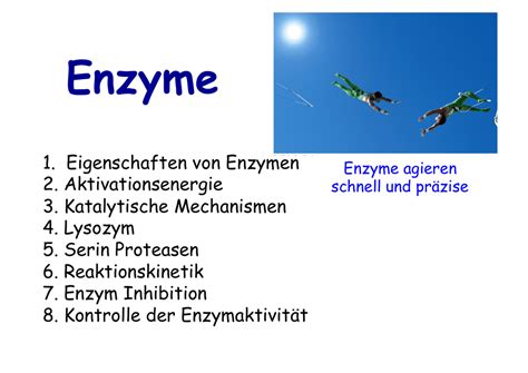 1 Eigenschaften Von Enzymen 2 Aktivationsenergie 3 Katalytische