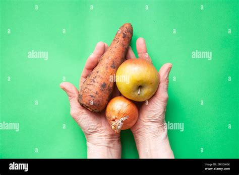 Onions Carrots And Apple Dirty In The Hands Of Grandmother On The