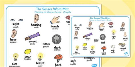 The Senses Word Mat Polish Translation Teacher Made