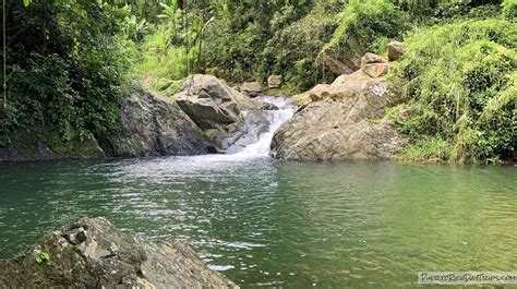 Charco el Mango You Know Where, Manga, Water Features, The Mountain, Puerto Rico, Paths ...