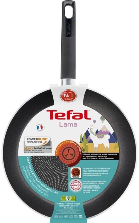 Tefal Hard Titanium Plus Pfanne 20 Cm Ab 4499 € Preisvergleich Bei Idealode