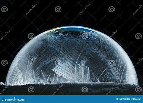 Christmas Snow Globe Snowflake Stock Photo Image Of Frozen