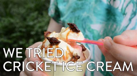 We Tried Cricket Ice Cream YouTube