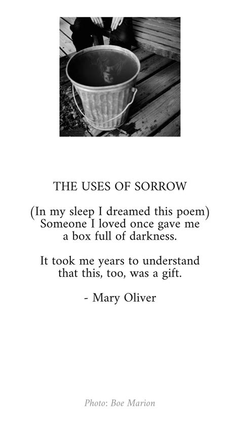 Mary Oliver Poems